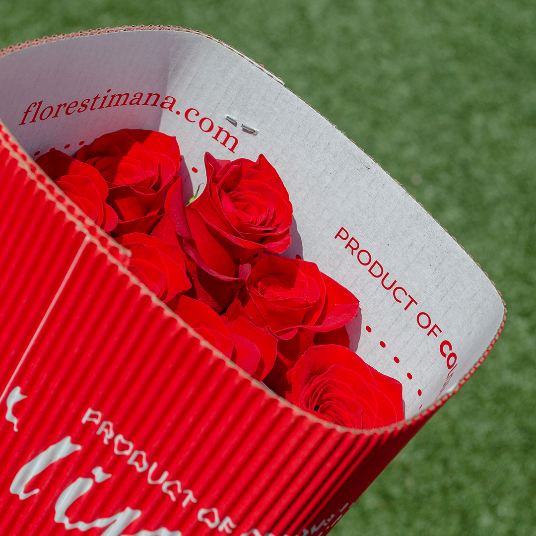 Timaná Reds open box — red Freedom roses inside, branded interior flap