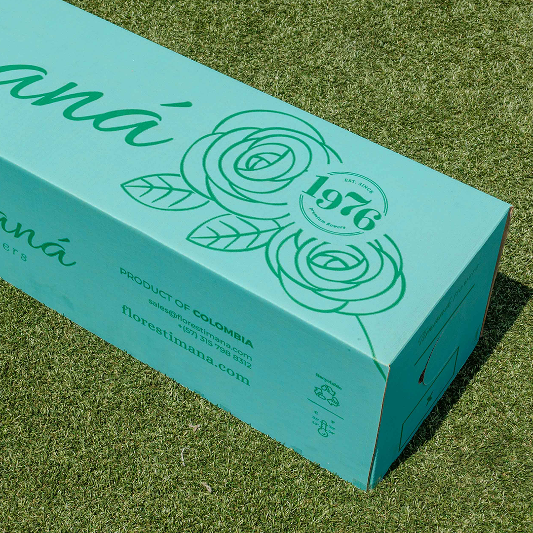 Timaná teal export box on grass — premium garden rose line