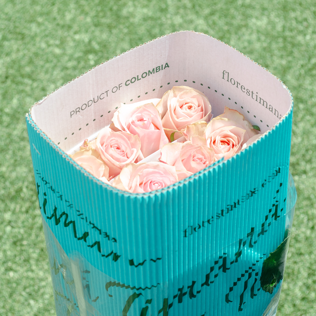 Timaná Teal open box — pink garden roses inside, branded interior flap