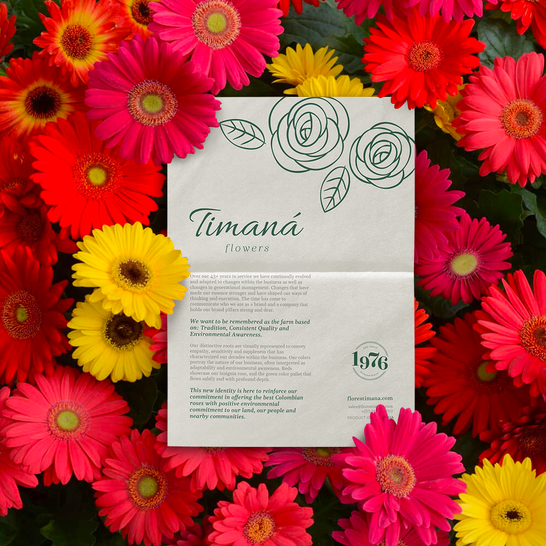 Timaná brand philosophy document — rose illustration, brand pillars, florestimana.com